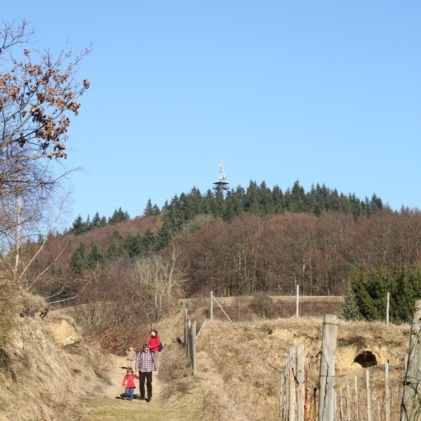 Wandern im Kaiserstuhl