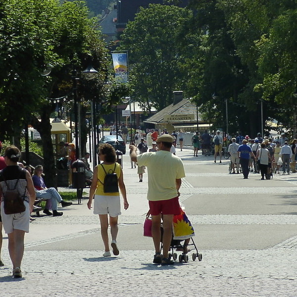 Fugngerzone Titisee