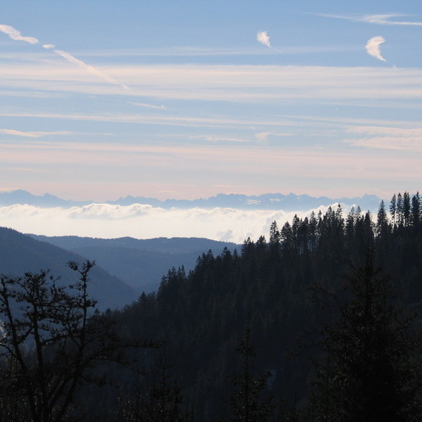 Inversionswetterlage auf dem Feldberg