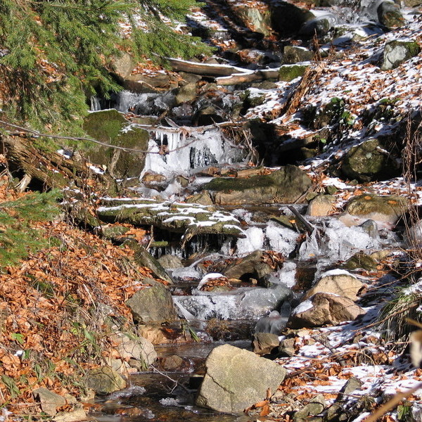 Winterbach am Feldberg