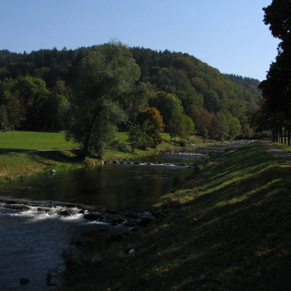 Dreisam im Sommer