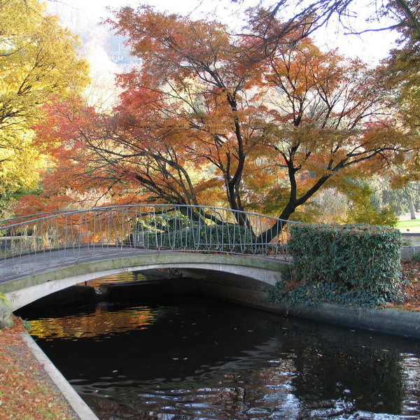 Satdtgarten Freiburg