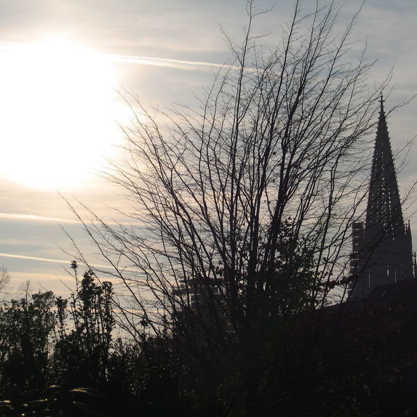 Freiburg im Breisgau